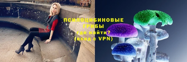 твердый Бронницы
