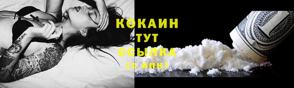 твердый Бронницы