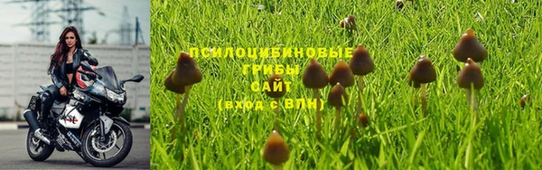 шишки Бугульма