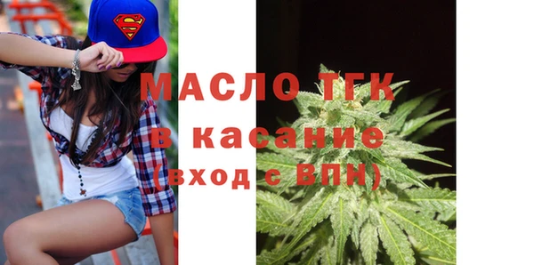 амф Бородино