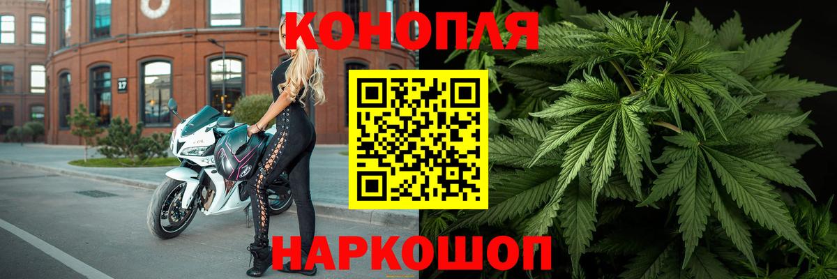 Канабис OG Kush Зима